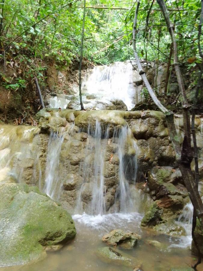 Khao Sok Inn Hostel Khao Sok National Park Экстерьер фото