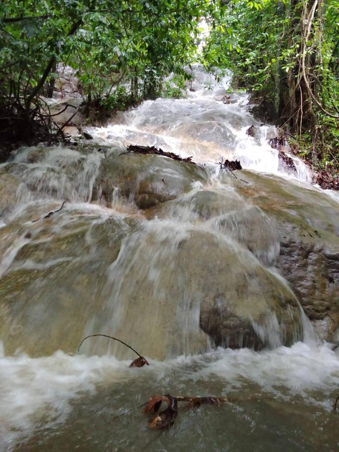 Khao Sok Inn Hostel Khao Sok National Park Экстерьер фото
